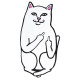 Ripndip Lord Nemral 4ft Rug 117 χ 60 cm